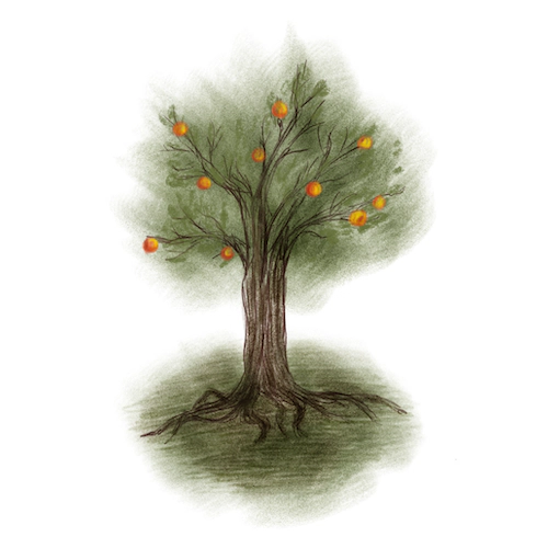 Bodenständigkeit Leben Natur