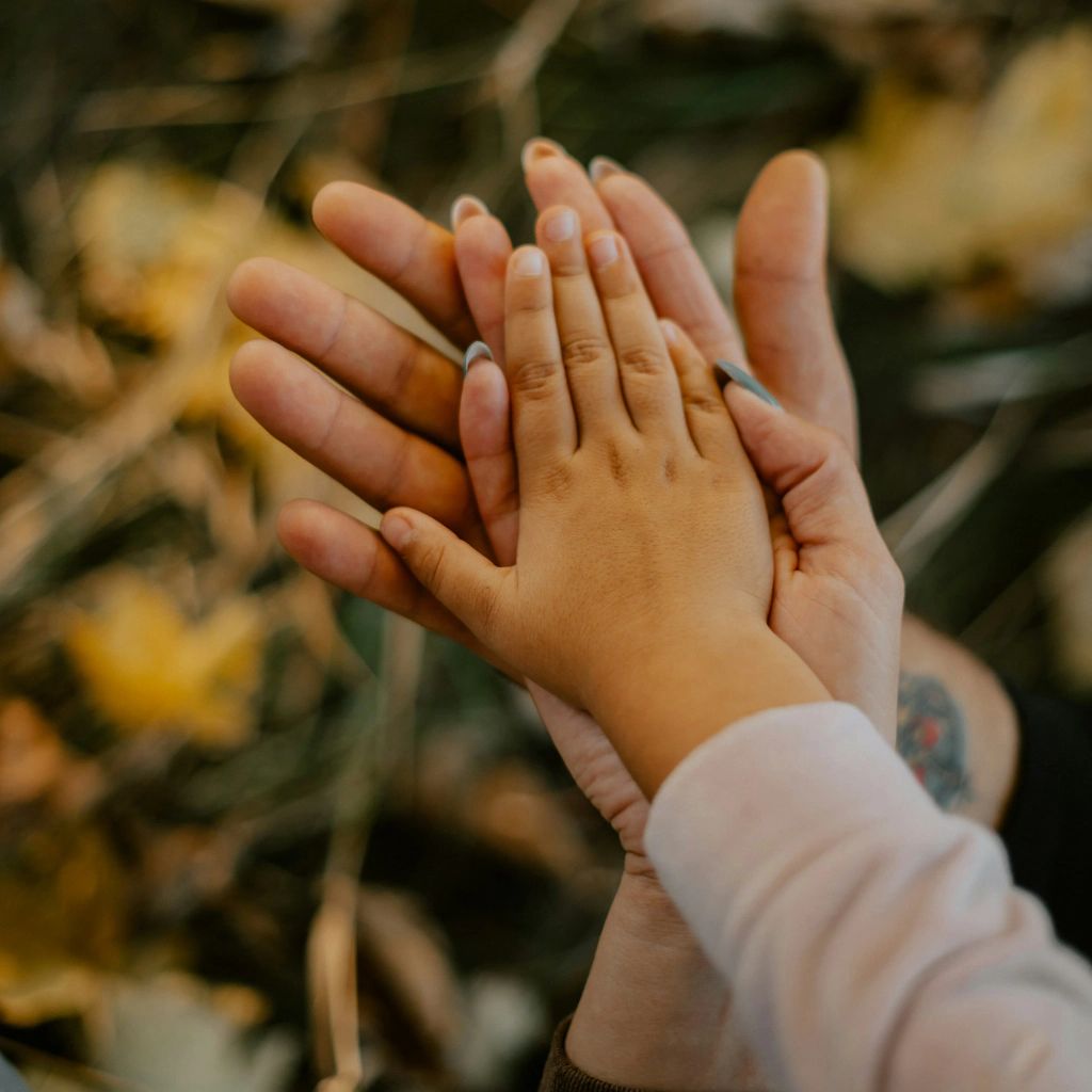 Systemische Familienaufstellung für Konfliktlösung in Göttingen