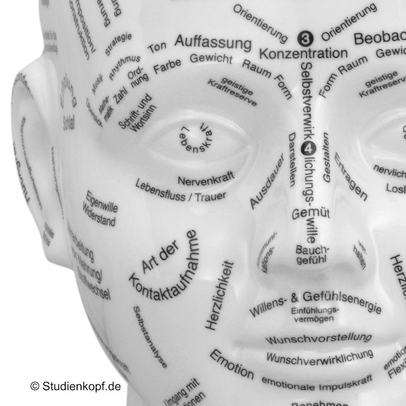 Gesichtsdiagnostik für Familienentwicklung und persönliches Wachstum